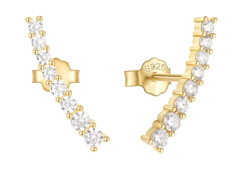 Luxury Earing
