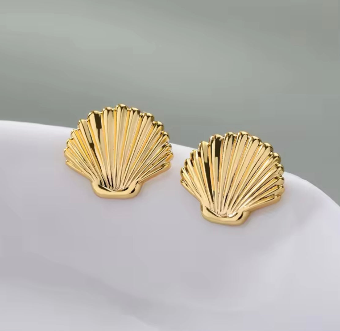 Clam Studs