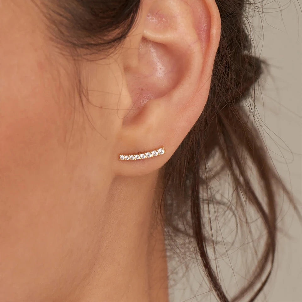 Luxury Earing