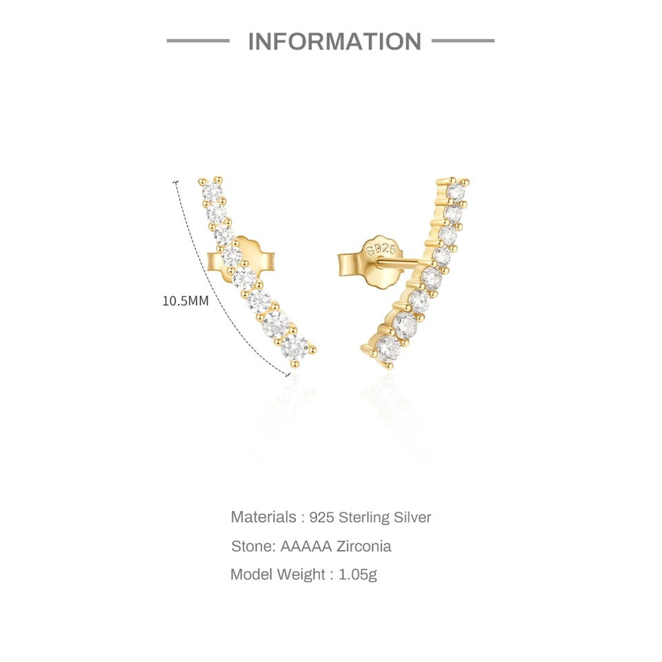 Luxury Earing