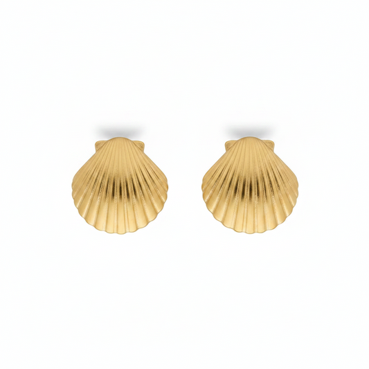 Shell Earings